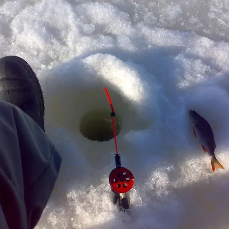 Ferienhaus Mannimaatila Aura