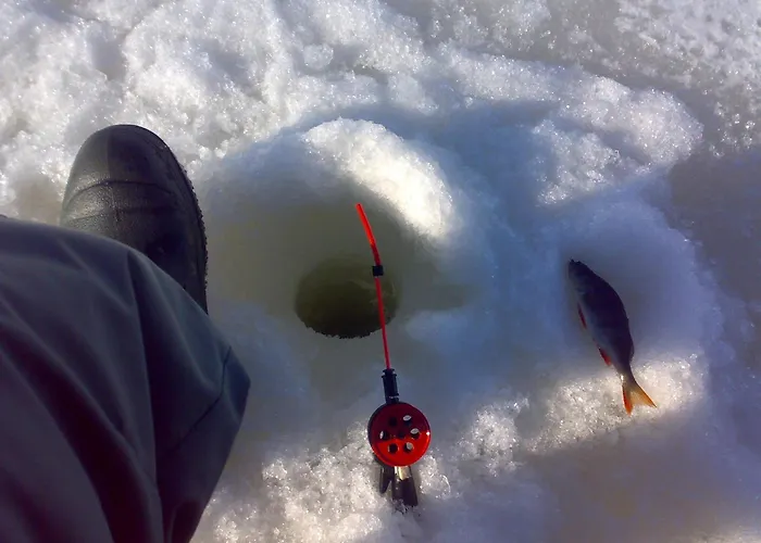 بيت للعطل Mannimaatila Aura